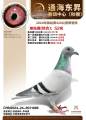 图片暂时未上传