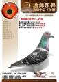 图片暂时未上传