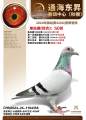 图片暂时未上传