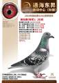 图片暂时未上传