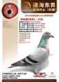 图片暂时未上传
