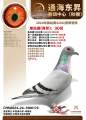 图片暂时未上传
