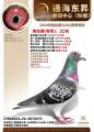 图片暂时未上传