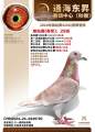 图片暂时未上传