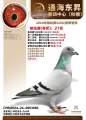 图片暂时未上传
