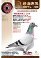 图片暂时未上传