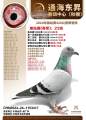 图片暂时未上传