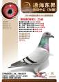 图片暂时未上传