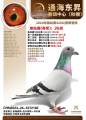 图片暂时未上传