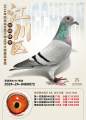 图片暂时未上传