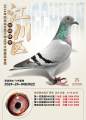 图片暂时未上传