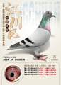 图片暂时未上传