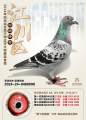 图片暂时未上传