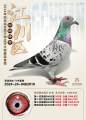 图片暂时未上传