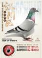 图片暂时未上传