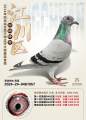 图片暂时未上传