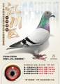 图片暂时未上传
