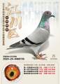 图片暂时未上传