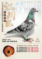 图片暂时未上传