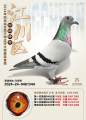 图片暂时未上传