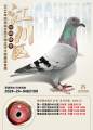 图片暂时未上传