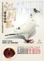 图片暂时未上传