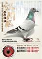图片暂时未上传