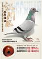 图片暂时未上传