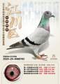 图片暂时未上传