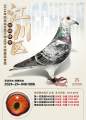 图片暂时未上传